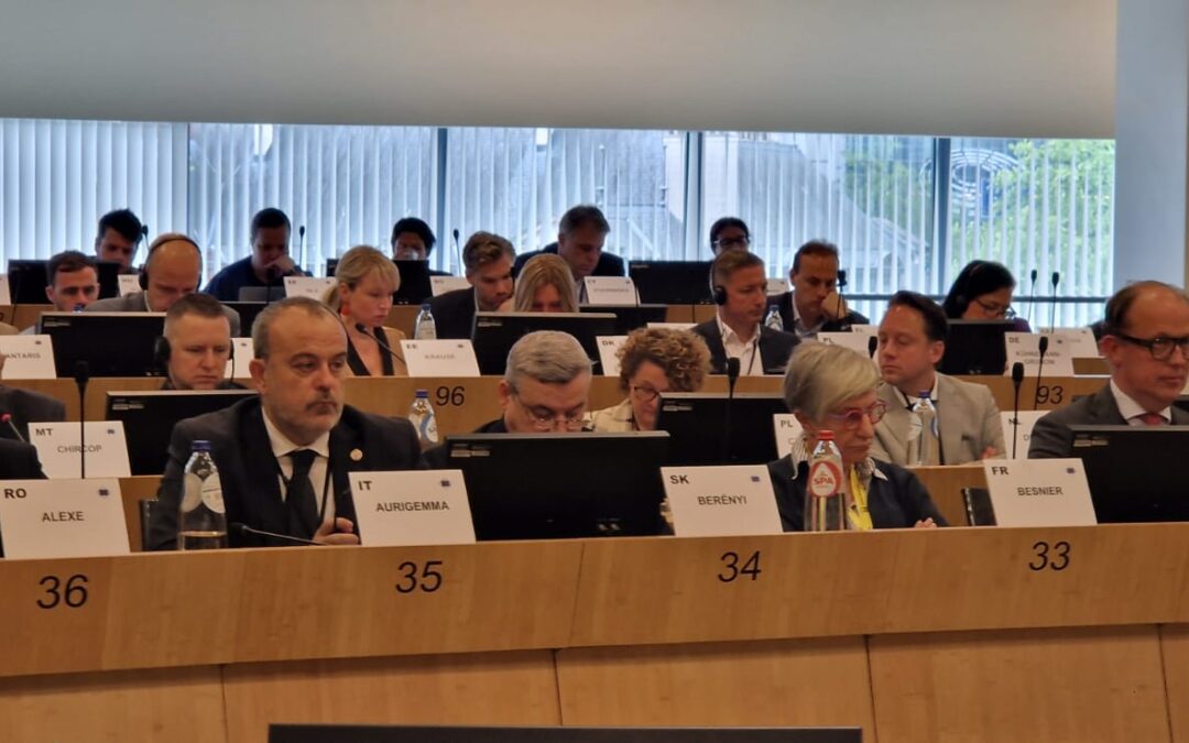 Il Presidente Aurigemma sulla strategia dell’Unione delle Competenze alla Commissione SEDEC del CdR: “Formazione e competenze fattori fondamentali”