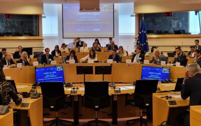 Presidenti Aurigemma e Ciambetti alla 4ª Commissione ENVE del Comitato delle Regioni: crediti naturali, cambiamento climatico e inquinamento da microplastiche i temi affrontati