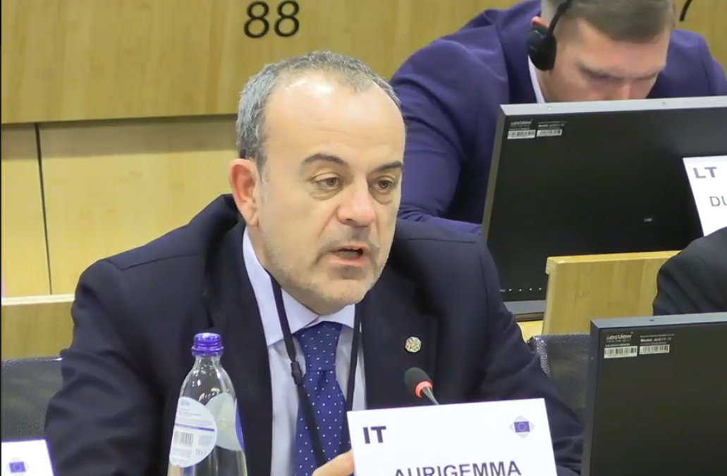 Presidente Aurigemma alla Commissione SEDEC