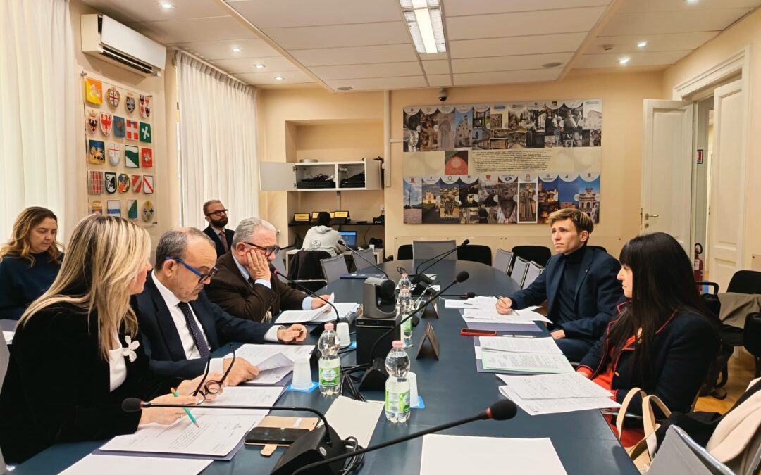 Assemblea plenaria 31.03.26